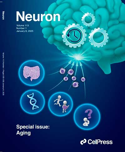 Avances en la investigación del envejecimiento del cerebro