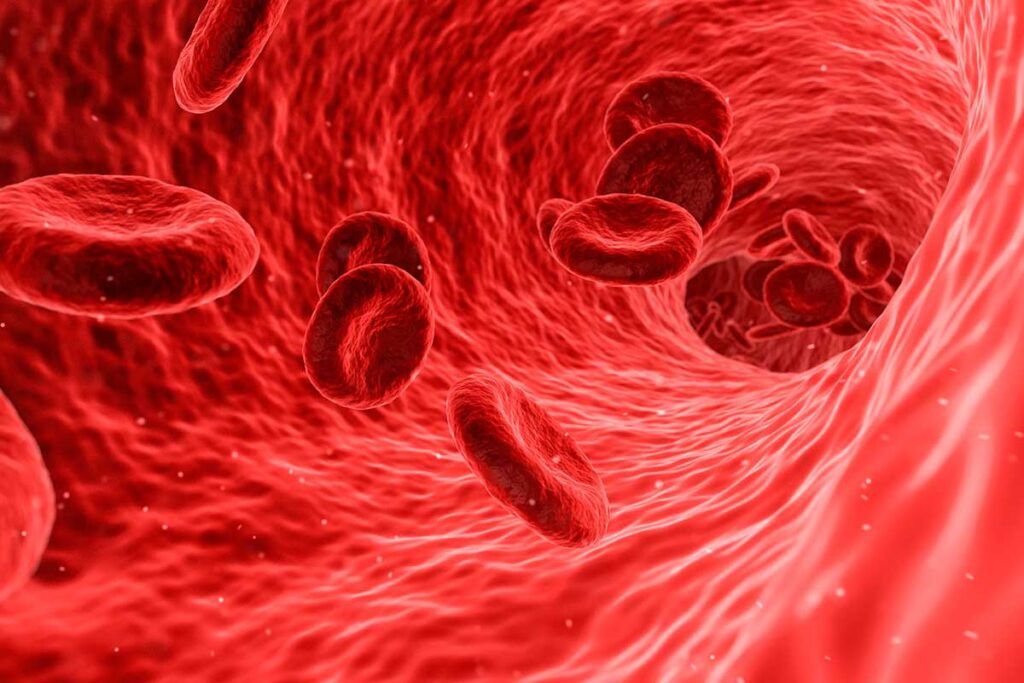 Hemofilia: la saliva, clave para la coagulación