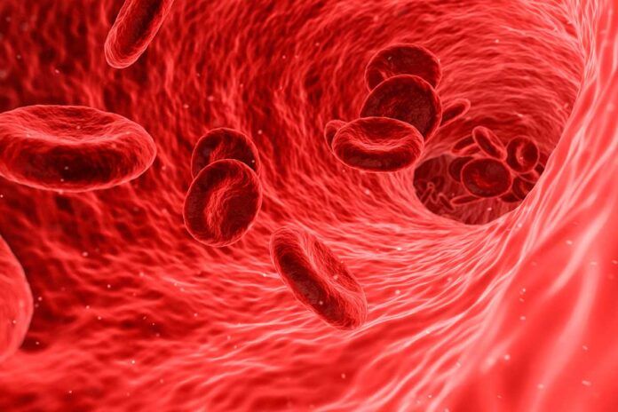 Hemofilia: la saliva, clave para la coagulación