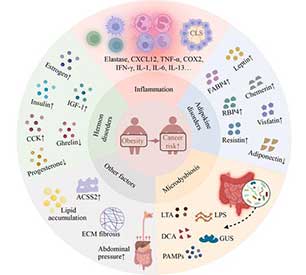Avances en el vínculo obesidad-cáncer