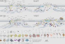 Detallan, por primera vez, la biodiversidad de un monte submarino en el Pacífico Detallan, por primera vez, la biodiversidad de un monte submarino en el Pacífico