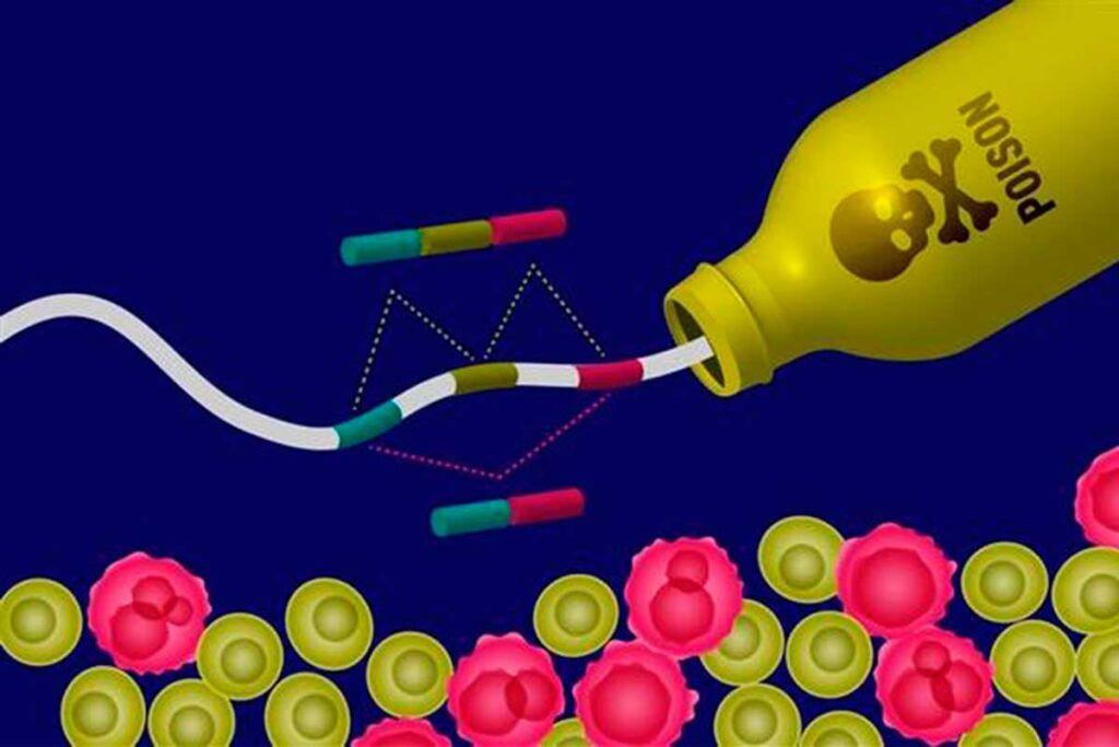 Hacia un revolucionario tratamiento contra el cáncer basado en ARN