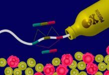 Hacia un revolucionario tratamiento contra el cáncer basado en ARN Hacia un revolucionario tratamiento contra el cáncer basado en ARN