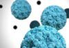 Hacia una vacuna eficaz contra norovirus Hacia una vacuna eficaz contra norovirus