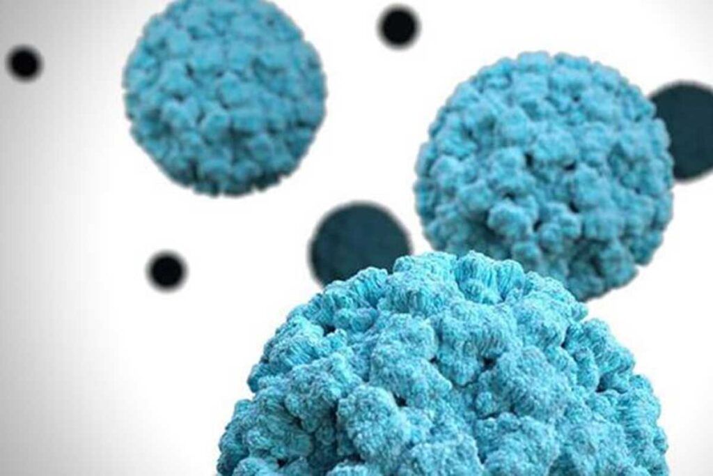 Hacia una vacuna eficaz contra norovirus
