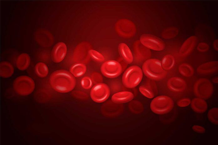 sangre Dos nuevos hallazgos transformarán el tratamiento del cáncer de sangre