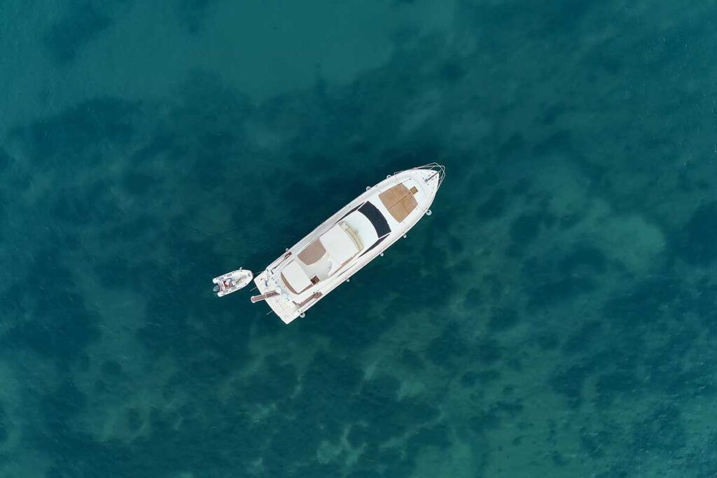 Los barcos deportivos, perfectos para la propagación de termitas