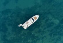 Los barcos deportivos, perfectos para la propagación de termitas Los barcos deportivos, perfectos para la propagación de termitas