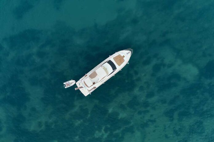 Los barcos deportivos, perfectos para la propagación de termitas