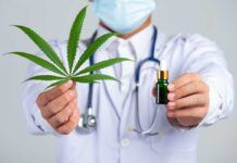 Cannabis medicinal y sus beneficios a largo plazo Cannabis medicinal y sus beneficios a largo plazo