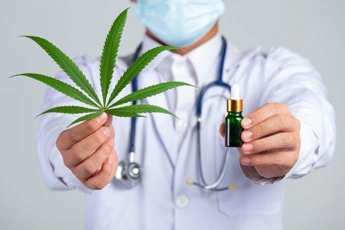 cannabis Cannabis medicinal y sus beneficios a largo plazo