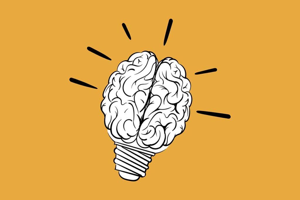 El proyecto Brain y el tálamo