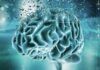Nuevo biomarcador sanguíneo detecta deterioro cognitivo Nuevo biomarcador sanguíneo detecta deterioro cognitivo