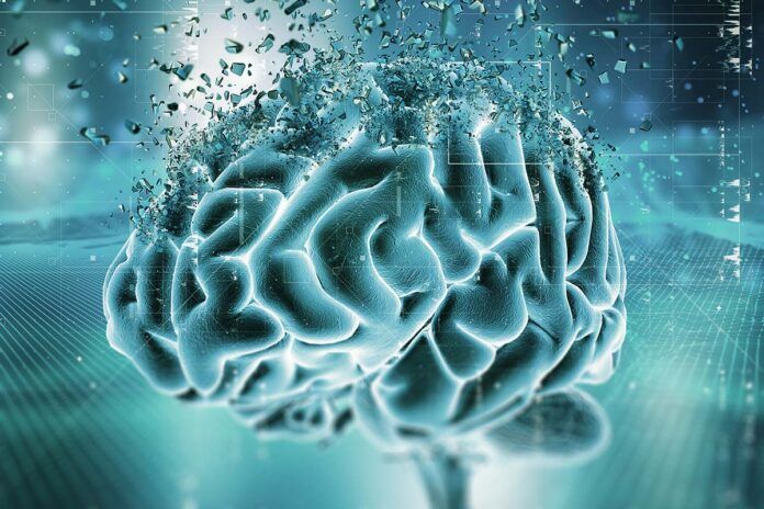 cerebro Nuevo biomarcador sanguíneo detecta deterioro cognitivo