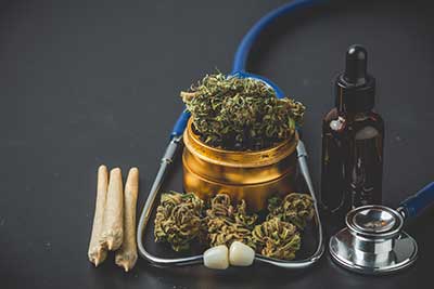 La diversidad génica del cannabis afianza su potencial biomédico