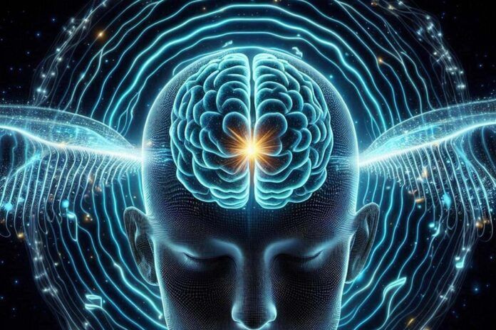 ondas cerebro Procesan el sueño de ocho horas con IA