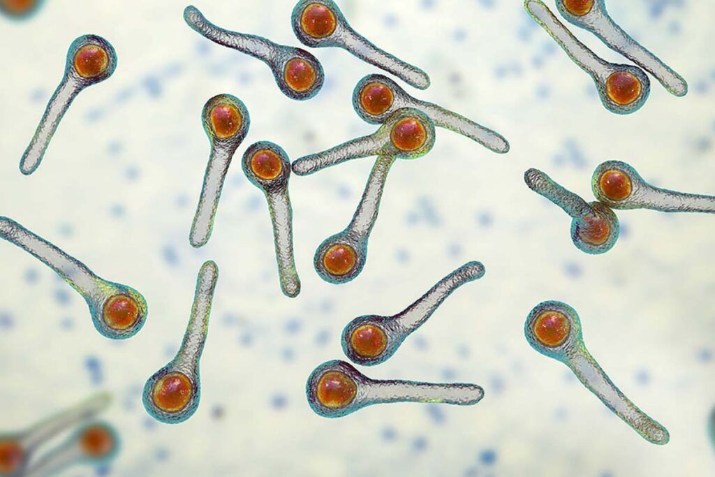 Tétanos y difteria: sugieren abandonar las vacunas de refuerzo