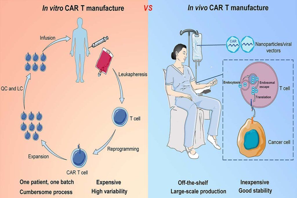 Inmunoterapia adoptiva, nuevo método de CAR-T
