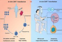 Inmunoterapia adoptiva, nuevo método de CAR-T Inmunoterapia adoptiva, nuevo método de CAR-T