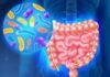 Las bacterias intestinales alertan del cáncer colorrectal Las bacterias intestinales alertan del cáncer colorrectal