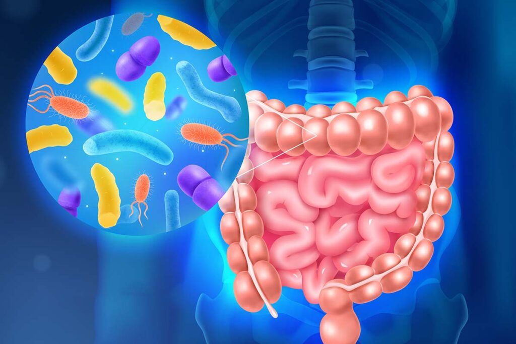 Las bacterias intestinales alertan del cáncer colorrectal