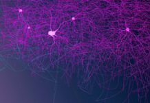 Cambios en las neuronas facilitan el síndrome de Tourette Cambios en las neuronas facilitan el síndrome de Tourette