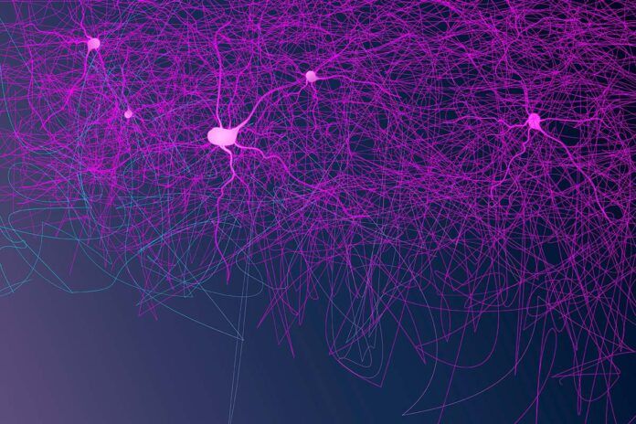 neuronas Cambios en las neuronas facilitan el síndrome de Tourette