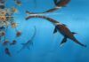 Descubren una nueva especie de reptil marino del Jurásico Descubren una nueva especie de reptil marino jurásico