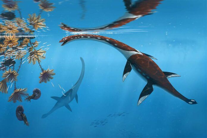 reptil Descubren una nueva especie de reptil marino jurásico
