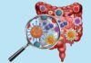 Viroma, el arma secreta del intestino Viroma, el arma secreta del intestino