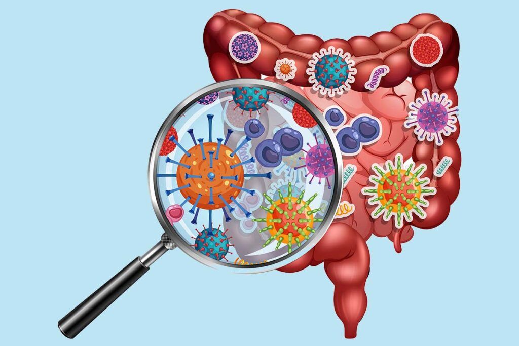 Viroma, el arma secreta del intestino