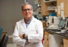 Un español, detrás del nuevo hito en diabetes tipo 2 Un español, detrás del nuevo hito en diabetes tipo 2