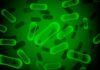 Bacterias fluorescentes iluminan el cáncer para extirparlo Bacterias fluorescentes iluminan el cáncer para extirparlo