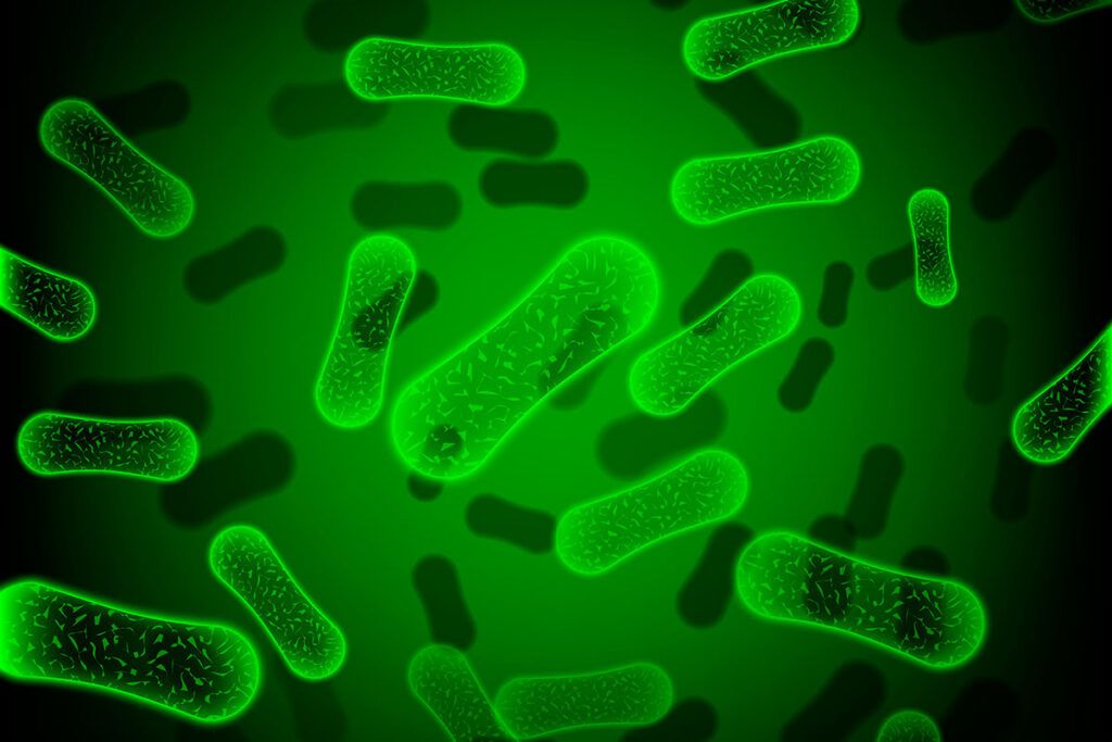 Bacterias fluorescentes iluminan el cáncer para extirparlo