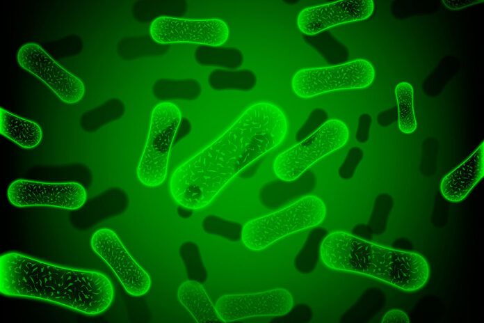 Bacterias fluorescentes iluminan el cáncer para extirparlo