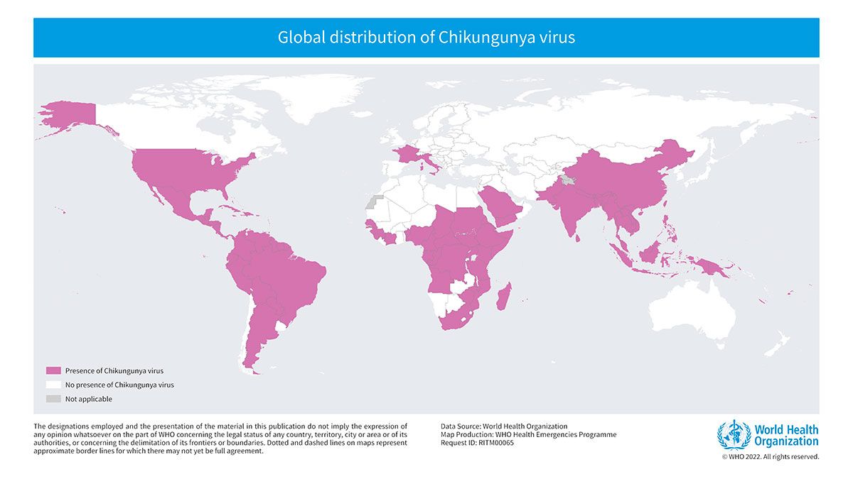 Estados Unidos suspende sin motivo la vacuna contra chikungunya, un virus letal