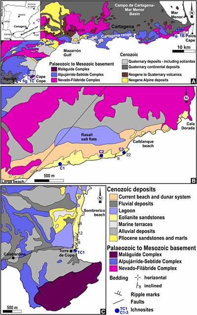 Identifican en Murcia las primeras huellas fosilizadas de elefante prehistórico