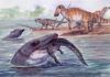 Los mosasaurios pudieron vivir también en agua dulce los mosasaurios pudieron vivir también en agua dulce