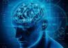 ¿Cómo se deteriora el cerebro durante el envejecimiento? ¿Cómo se deteriora el cerebro durante el envejecimiento?