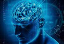 ¿Cómo se deteriora el cerebro durante el envejecimiento? ¿Cómo se deteriora el cerebro durante el envejecimiento?
