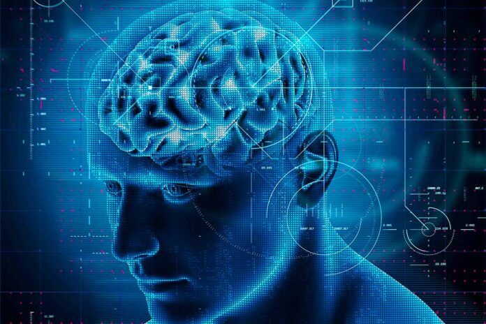 ¿Cómo se deteriora el cerebro durante el envejecimiento?