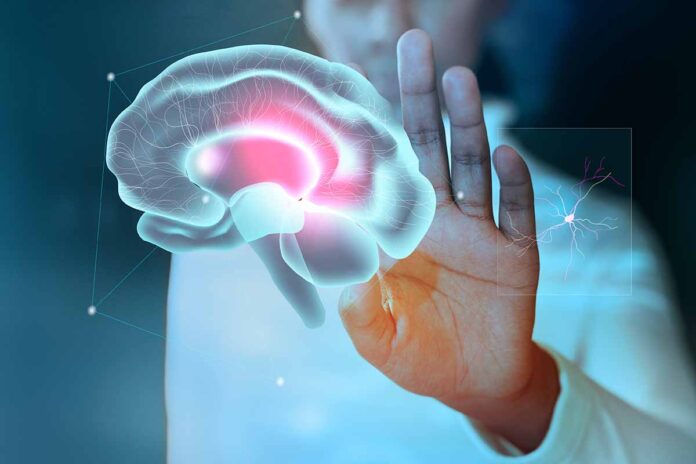 cerebro Las demencias relacionadas con tau ya no serán de 'talla única'