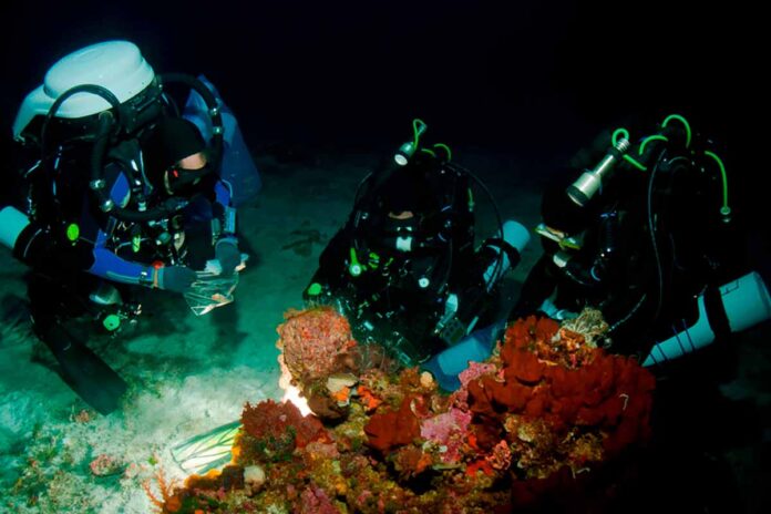 PharmaMar: cuarenta años investigando el mar