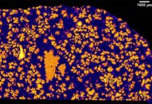 El protoplaneta olvidado de hace 4.500 millones de años El protoplaneta olvidado de hace 4.500 millones de años