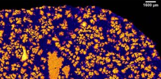 El protoplaneta olvidado de hace 4.500 millones de años El protoplaneta olvidado de hace 4.500 millones de años
