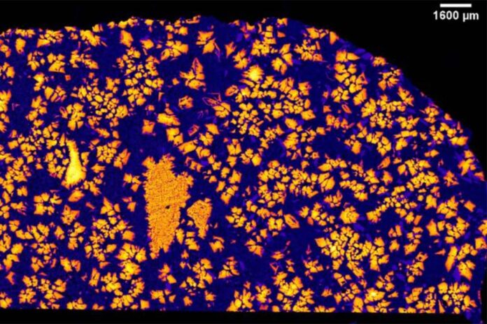 NWA 12774 El protoplaneta olvidado de hace 4.500 millones de años