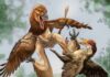 ‘Jian changmaensis’, el desconocido dinosaurio con cuatro ‘alas’ Jian changmaensis, el desconocido dinosaurio con cuatro alas pariente del Velociraptor