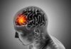 DMT, el compuesto natural que protege al cerebro DMT, el compuesto natural que protege al cerebro