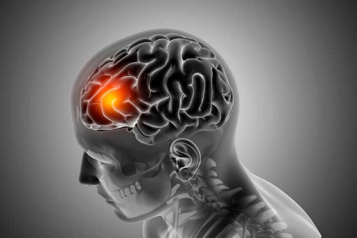 DMT, el compuesto natural que protege al cerebro