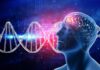 Esquizofrenia: más de 640 genes asociados Esquizofrenia: más de 640 genes asociados